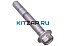 ���� ����-�������_����_2